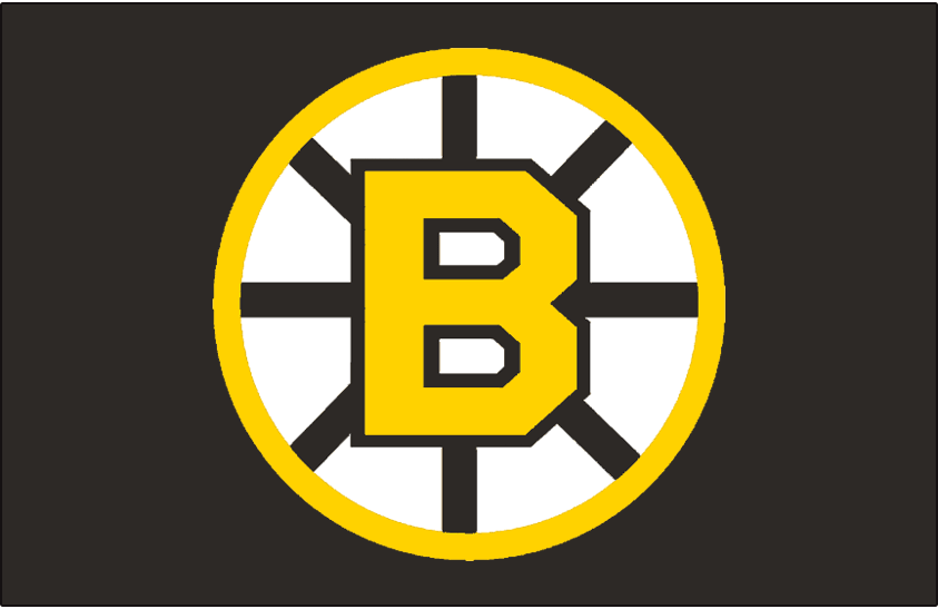 Boston Bruins 1955-1995 Jersey Logo iron on heat transfer